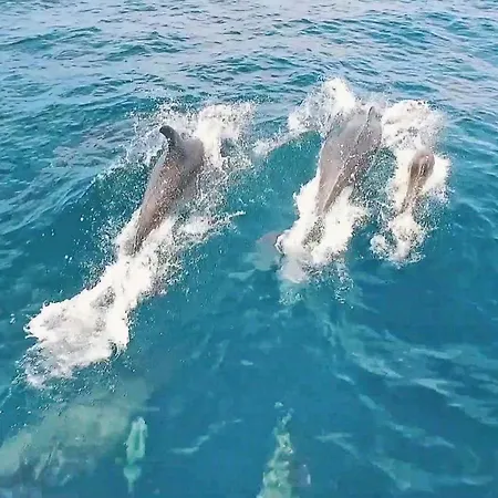 Portofino 1 By Algarve Vacation Βιλαμούρα
